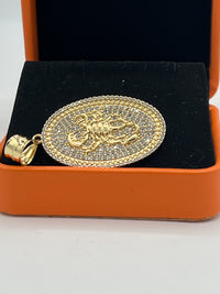 Gold Over Silver Oval Scorpion Medallion